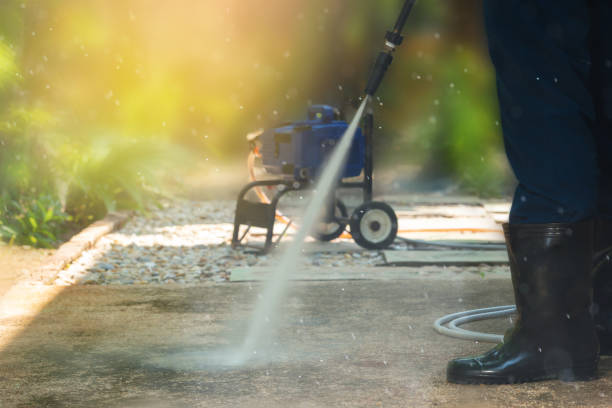 Best Solar Panel Cleaning  in Cokato, MN